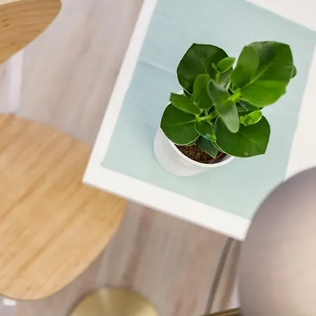 Grodzka 42 * Cracóvia