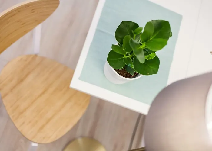 Grodzka 42 * 크라쿠프